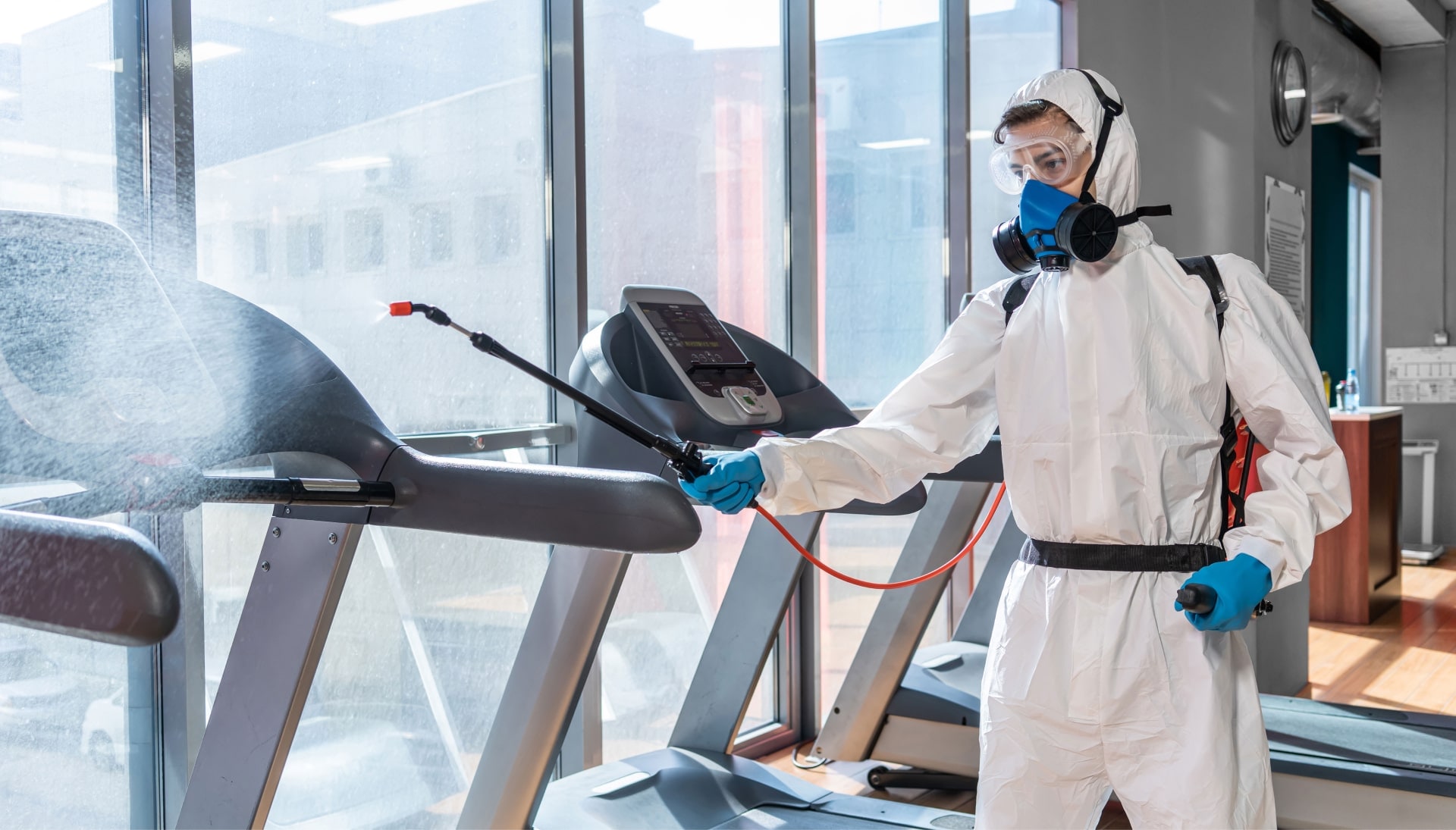 Commercial Mold Removal Services in Plano