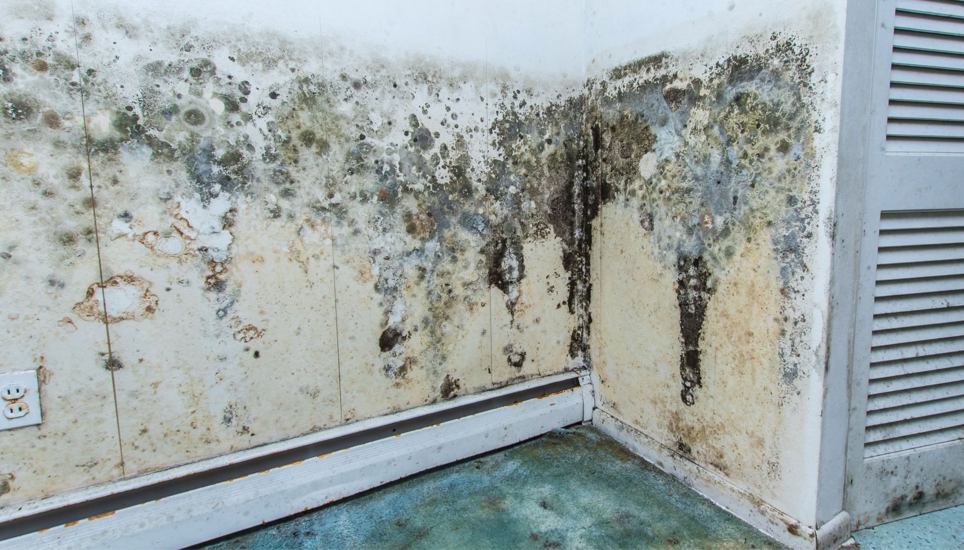 A mold remediation team using specialized techniques to remove mold damage and control odors in a Plano property, with a focus on safety and efficiency