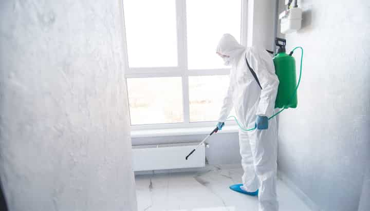 A certified mold inspector using specialized equipment to identify and locate mold growth in a residential property in Plano